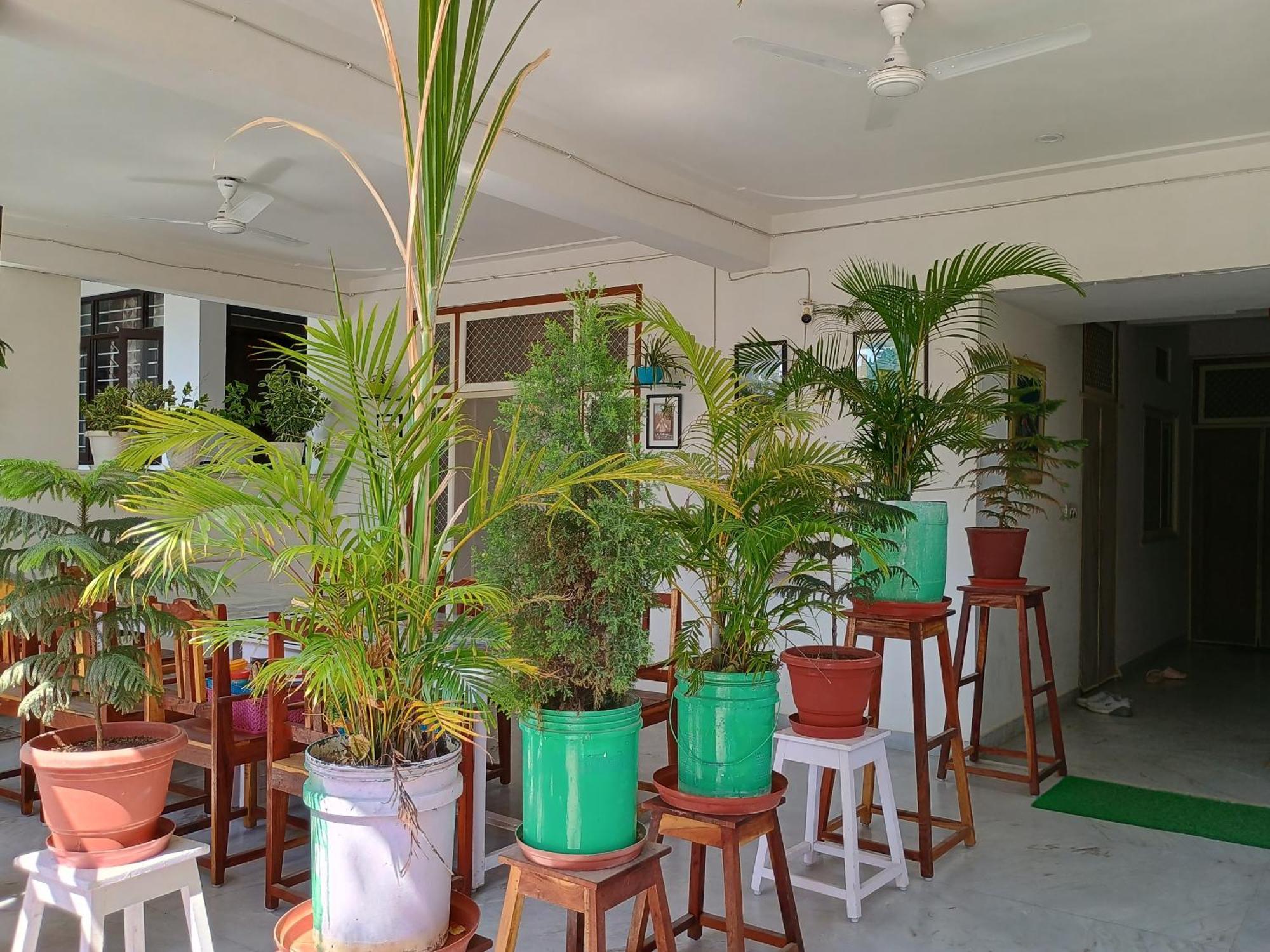Appartement Choudhary White House Udaipur Extérieur photo