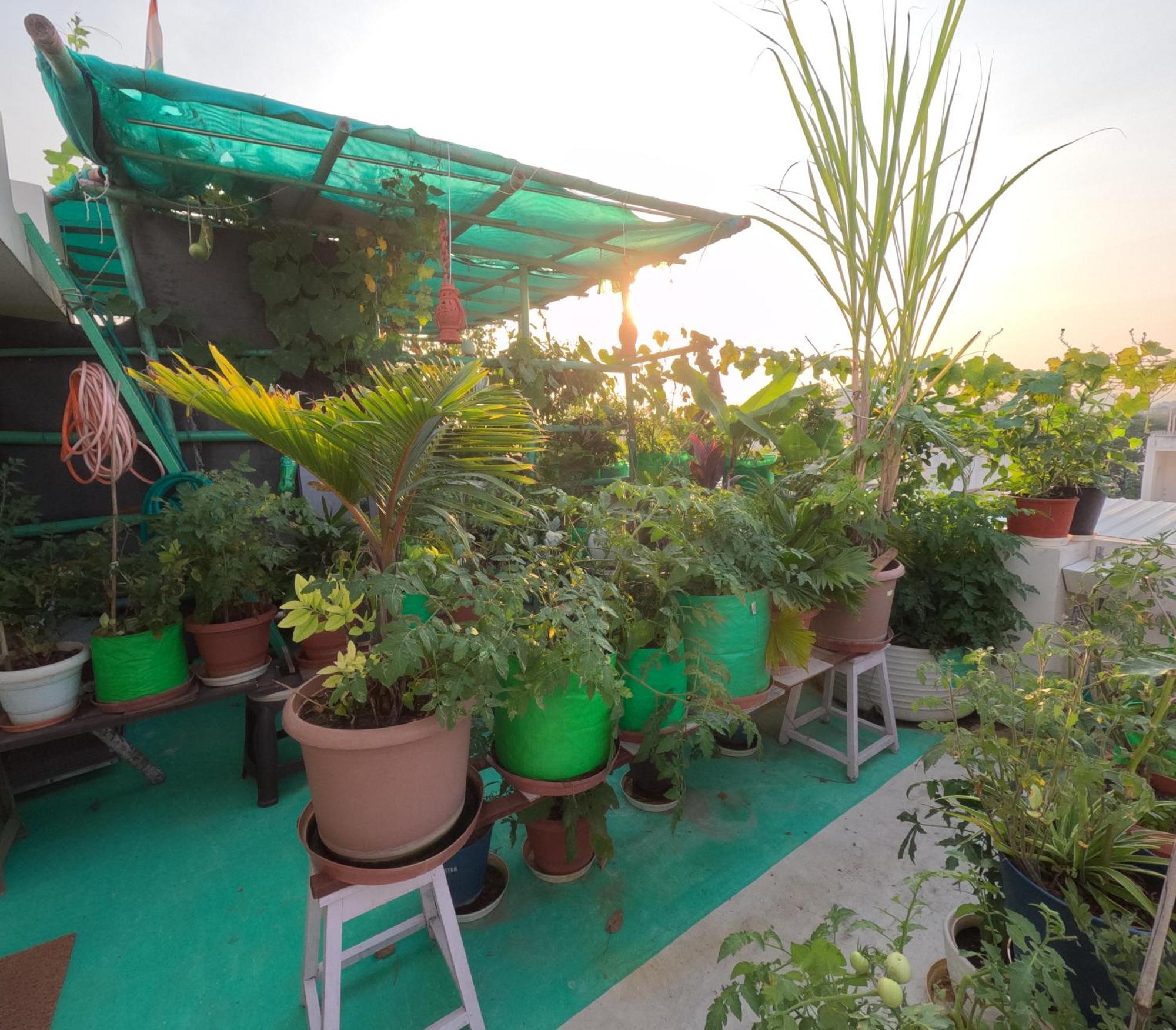 Appartement Choudhary White House Udaipur Extérieur photo
